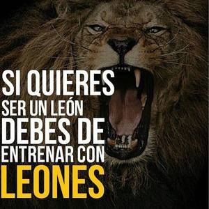 Meet your Posher, Gaston